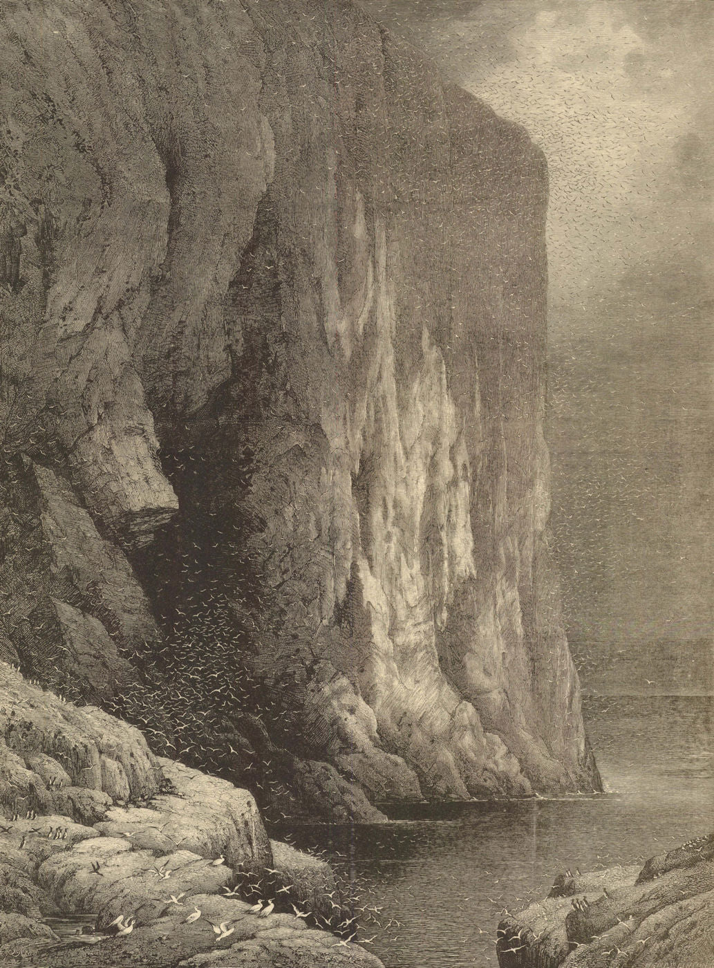 The Bass Rock, from a picture by S. Read. Scotland 1881 old antique print